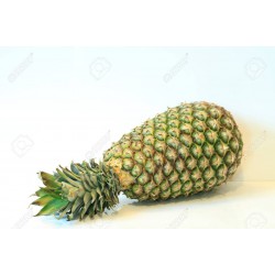 Pineapple / Nanas Long 黄梨长(1 nos) 