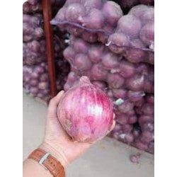 Red Onion /Bawang Merah Besar/红大葱（8-9kg/1pkt) 