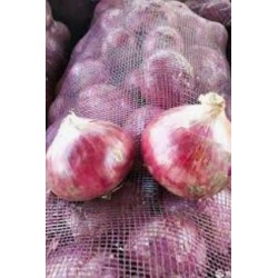 Red Onion /Bawang Merah Besar/红大葱（8-9kg/1pkt) 