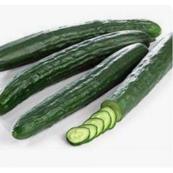 Japanese Cucumber / Timun Jepun日本青瓜 (5kg )