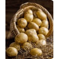 potato XL / 马铃薯 ( 1 pkt/ 8kg+)