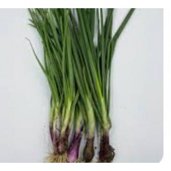 Spring Onion / Daun Bawang / 青葱 (A+1kg)