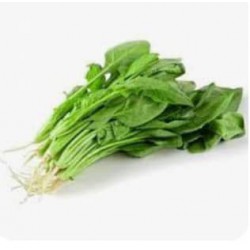 Horenso Spinach HK / Poh Choy 菠菜( 200g )