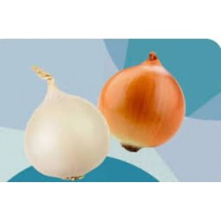 Yellow Onion Peeled  ( 1kg ) 
